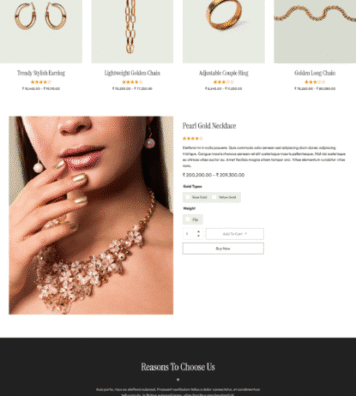 WEBSITE PORTFOLIO (11)