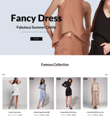 WEBSITE PORTFOLIO (16)