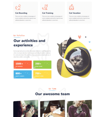 WEBSITE PORTFOLIO (21)